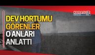 Dev hortumu görenler o anları anlattı