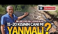 Yapılması için 15-20 kişinin canı mı yanmalı?