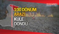 100 dönümü kül eden yangın 3 saatte söndürüldü