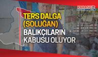 Karasulu balıkçıların kabusu çözüm bekliyor