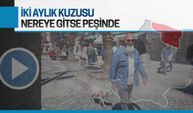 İki aylık kuzusu peşinden hiç ayrılmıyor