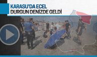 Karasu’da ecel, durgun denizde geldi