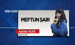 Meftun şair