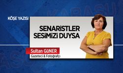 Senaristler sesimizi duysa…