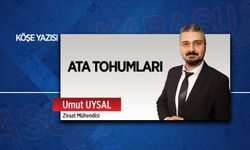 Ata tohumları