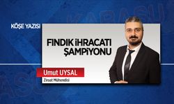 Fındık ihracatı şampiyonu