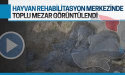 Karasu'da infial oluşturan toplu mezar