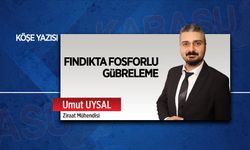 Fındıkta fosforlu gübreleme