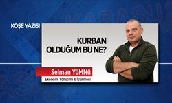 Kurban olduğum bu ne?