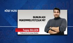 Bunun adı mükemmeliyetçilik mi?