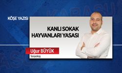 Kanlı sokak hayvanları yasası