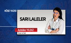 Sarı laleler