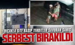 Site basıp tehditler savuran şahıs serbest bırakıldı