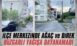 Şiddetli rüzgar ve yağış, direk ve ağaçlara zarar verdi