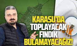 Karasu’da toplayacak fındık bulamayacağız!