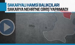 Sakaryalı hamsi teknelerine Karasu’da nehir engeli