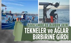 Barbun akınına hücum, Haralambo’da ağlar birbirine girdi