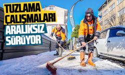 Tuzlama çalışmaları aralıksız sürüyor