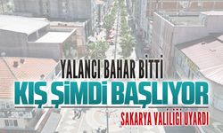 Yalancı bahar bitti, kış şimdi başlıyor