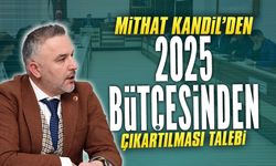 Mithat Kandil’den 2025 bütçesinden çıkartılması talebi