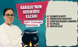 Karasu’nun dedikodu kazanı