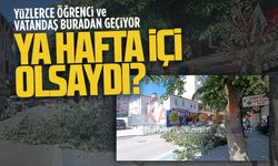 Karasu ilçe merkezinde ağaç devrildi