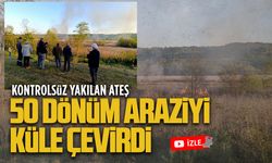 Kontrolsüz yakılan ateş 50 dönüm araziyi küle çevirdi