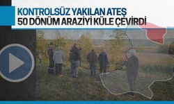 Kontrolsüz yakılan ateş 50 dönüm araziyi küle çevirdi