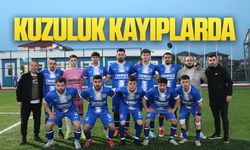 Kuzuluk kayıplarda