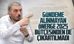 Karakaş ve Kandil’in verdiği önerge, 2025 bütçesinden çıkartılmadı