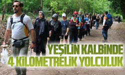 Doğaseverler Maden Deresi’nde buluştu