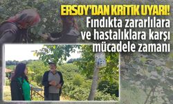 Serap Vildan Ersoy’dan fındık üreticisine kritik uyarılar