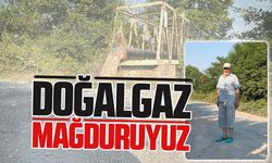 İbrahim Durdubaş: Doğalgaz mağduruyuz