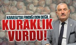 Başkan Arık, bu yıl fındıkta verim kaybı beklendiğini açıkladı