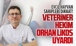 Yazın sessiz tehlikesi: Pisi pisi otuna dikkat!