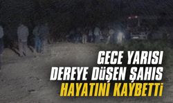 Gece yarısı dereye düşen bir kişi hayatını kaybetti