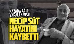 Kazada ağır yaralanan Necip Süt hayatını kaybetti