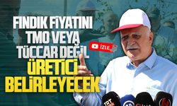 Şemsi Bayraktar: Fındık fiyatını TMO veya tüccar değil, üretici belirleyecek