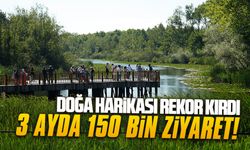 Tabiat harikası Acarlar Longozu güzelliğiyle misafirlerini hayran bıraktı