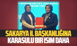 Sakarya il başkanlığına Karasulu bir isim daha