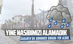 Karasu, yağışlardan yine nasibini alamadı