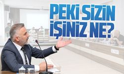 Mithat Kandil: Peki sizin işiniz ne?