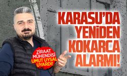 Karasu’da yeniden kokarca alarmı!