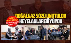 Saadet Partisi’nden Manavpınarı ve Hürriyet çıkarması