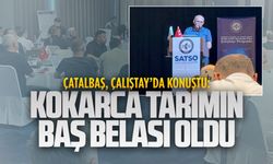 Çatalbaş, Çalıştay’da kahverengi kokarca zararlısına dikkat çekti