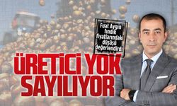 Fuat Aygın, fındık fiyatlarındaki düşüşü değerlendirdi