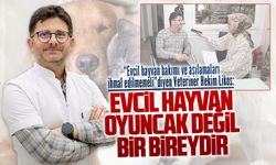 Veteriner Hekim Likos’tan evcil hayvan ile ilgili önemi mesajlar