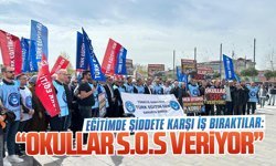 Türk Eğitim-Sen’den eğitimde şiddete karşı iş bırakma eylemi