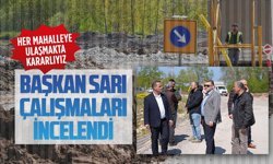 Başkan Sarı, Manavpınarı’nda doğal gaz çalışmalarını incelendi
