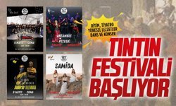 Karasu’da Tıntın Festivali başlıyor